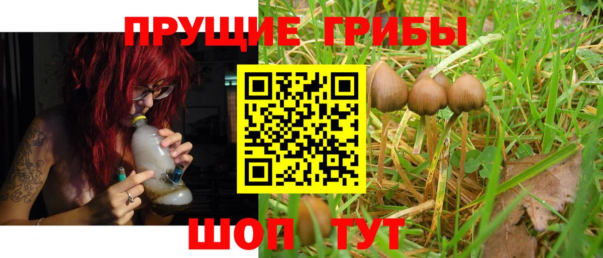 наркотики  Вход с VPN  Грозный  Галлюциногенные грибы GOLDEN TEACHER  Галлюциногенные грибы MAGIC MUSHROOMS 