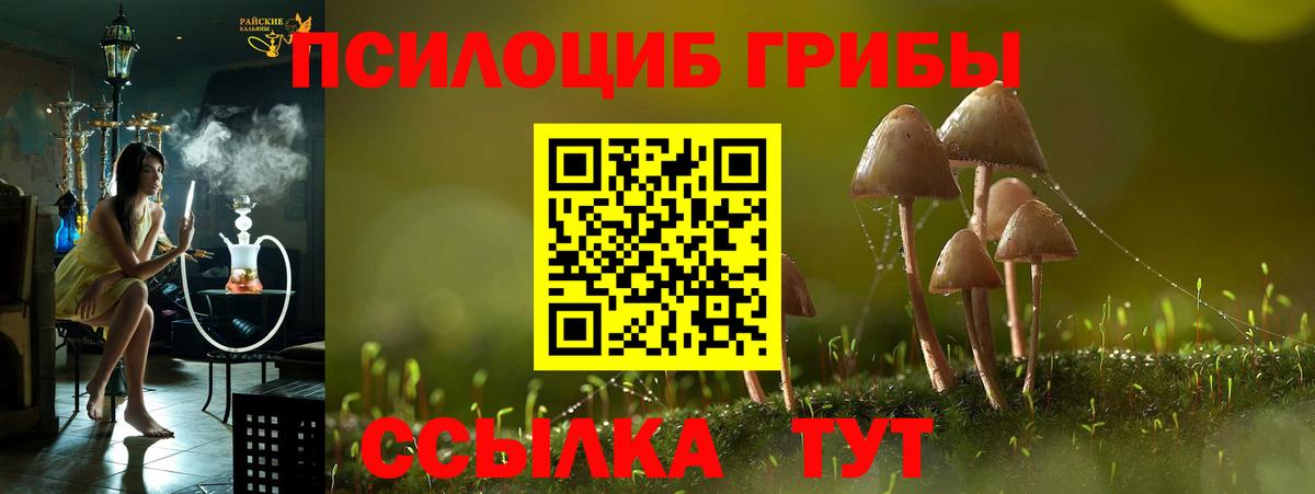 Галлюциногенные грибы GOLDEN TEACHER Грозный